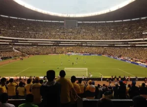 東契奇再创,辉煌,伤病仅是荣,开云体育,开云体育官网,开云体育app,开云体育app下载