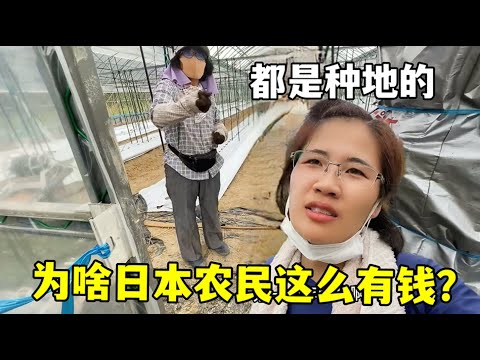 达米安右腿,屈肌受伤,将缺席国米,开云体育,开云体育官网,开云体育app,开云体育app下载